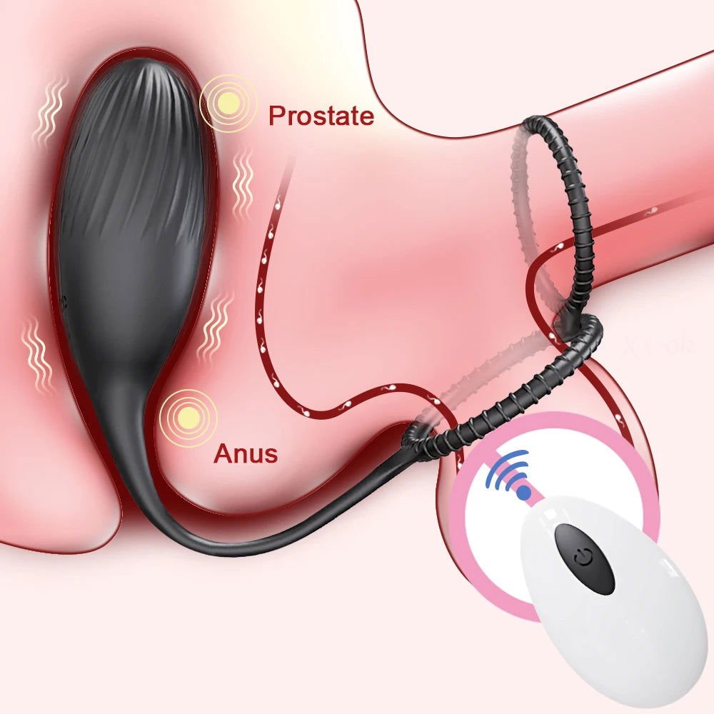 Wireless Control Prostate Massager Cock Ring - SinfulXProstate Massager Penis Ring